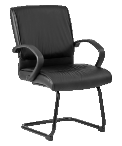 Goose Visitor Chair